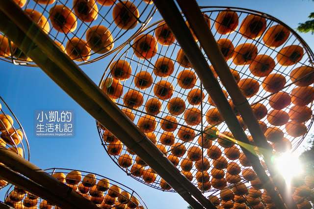 『新竹新埔』| 新埔柿餅 | 味衛佳柿餅觀光農場 | 北埔老街 | 內灣老街 | 新竹一日遊 | 小凱Vlog