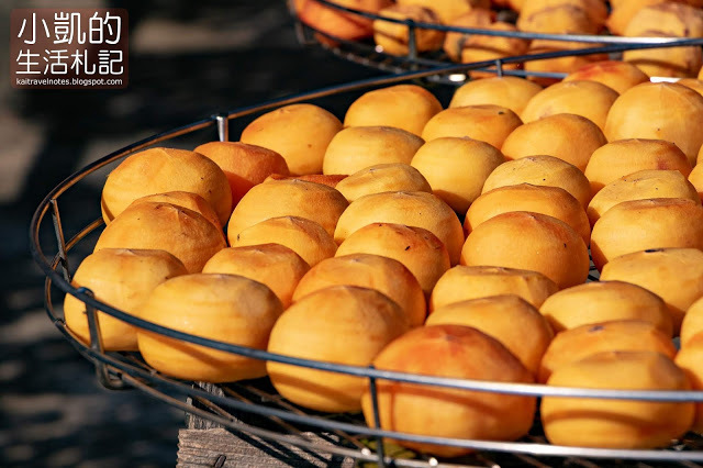 『新竹新埔』| 新埔柿餅 | 味衛佳柿餅觀光農場 | 北埔老街 | 內灣老街 | 新竹一日遊 | 小凱Vlog