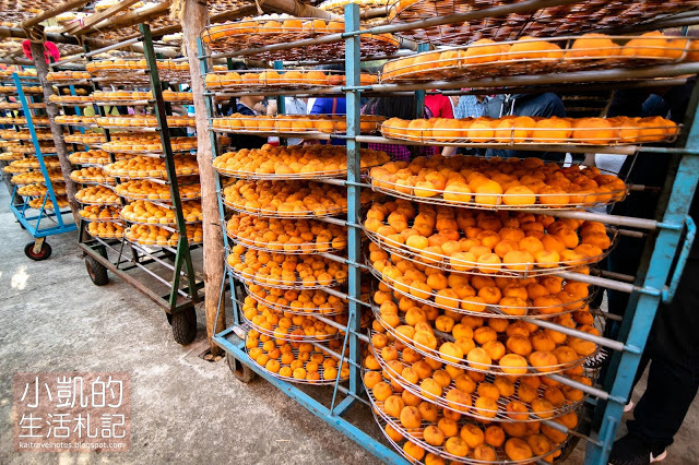 『新竹新埔』| 新埔柿餅 | 味衛佳柿餅觀光農場 | 北埔老街 | 內灣老街 | 新竹一日遊 | 小凱Vlog