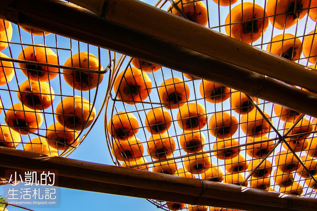 『新竹新埔』| 新埔柿餅 | 味衛佳柿餅觀光農場 | 北埔老街 | 內灣老街 | 新竹一日遊 | 小凱Vlog