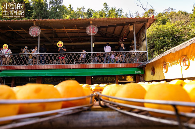 『新竹新埔』| 新埔柿餅 | 味衛佳柿餅觀光農場 | 北埔老街 | 內灣老街 | 新竹一日遊 | 小凱Vlog