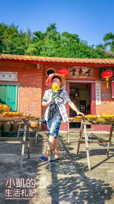 『新竹新埔』| 新埔柿餅 | 味衛佳柿餅觀光農場 | 北埔老街 | 內灣老街 | 新竹一日遊 | 小凱Vlog