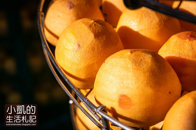 小凱的生活札記,新埔柿餅,味衛佳柿餅觀光農場, 小凱的生活札記,新埔柿餅,味衛佳柿餅觀光農場,