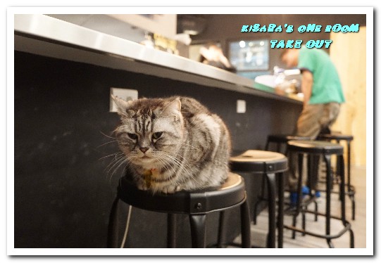 TAKE OUT burger & cafe(忠孝新生店):台北捷運忠孝新生站/手工漢堡.最療癒的貓咪餐廳──TAKE OUT.忠孝新生店