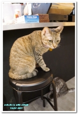 TAKE OUT burger & cafe(忠孝新生店):台北捷運忠孝新生站/手工漢堡.最療癒的貓咪餐廳──TAKE OUT.忠孝新生店