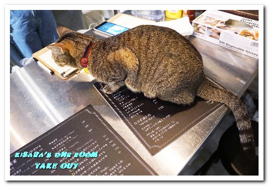 TAKE OUT burger & cafe(忠孝新生店):台北捷運忠孝新生站/手工漢堡.最療癒的貓咪餐廳──TAKE OUT.忠孝新生店