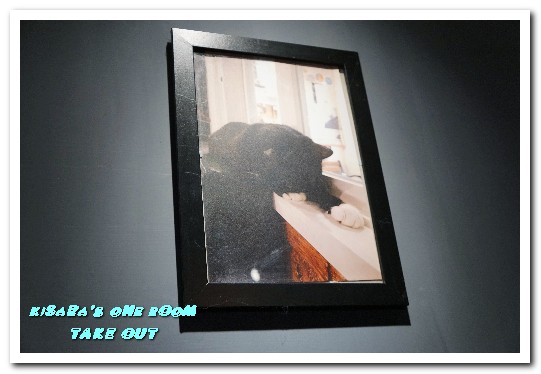 TAKE OUT burger & cafe(忠孝新生店):台北捷運忠孝新生站/手工漢堡.最療癒的貓咪餐廳──TAKE OUT.忠孝新生店