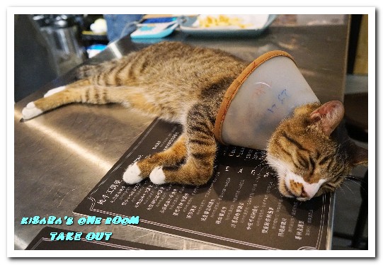 TAKE OUT burger & cafe(忠孝新生店):台北捷運忠孝新生站/手工漢堡.最療癒的貓咪餐廳──TAKE OUT.忠孝新生店