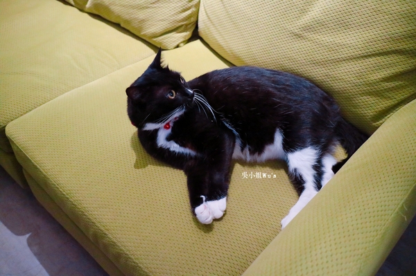 cm20171113___cc8b923ef490afce1832256fea6