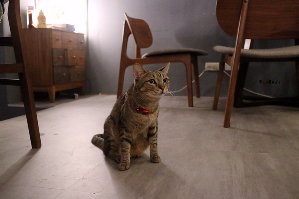 cm20171113___46ba5e73fee57b6b89aaf6b8afa