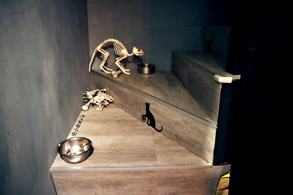 cm20171113___61af29f2da5e139cd50bef91336