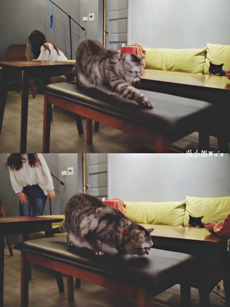 cm20171113___deffa73d13618926cf197626687