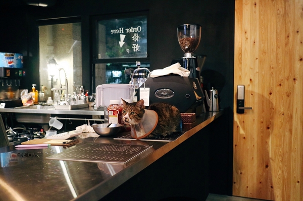 cm20171113___184e73f8cf3a17e595b81c56d27