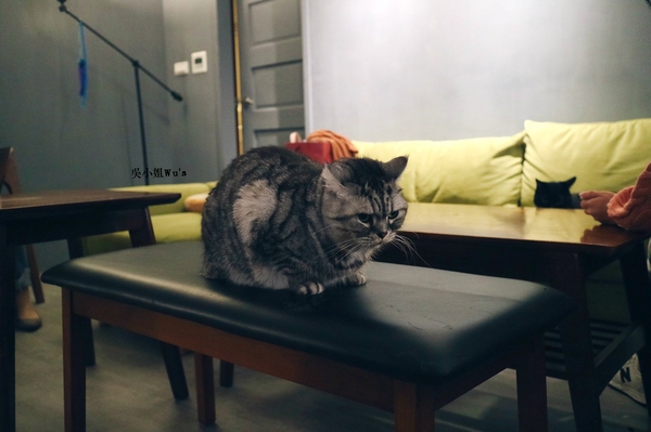 cm20171113___cad5bfefcec4b15faf3609bf478