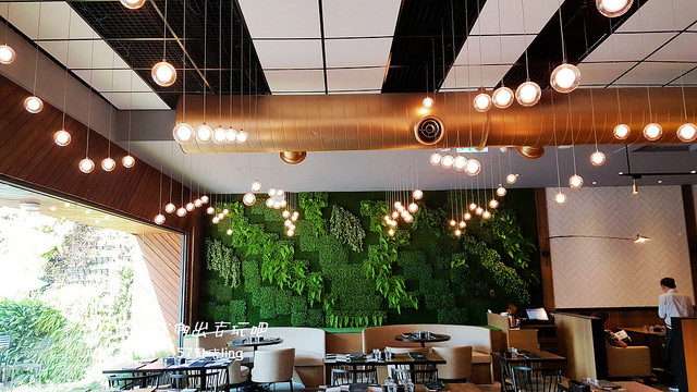 黑浮咖啡_171017_0014