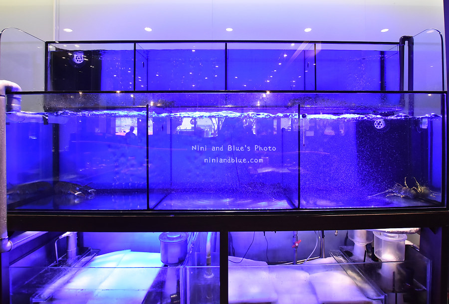 台中北屯火鍋小胖鮮鍋崇德10 台中北屯火鍋小胖鮮鍋崇德10