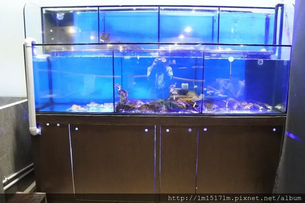 小胖鮮鍋-崇德店 (9).jpg