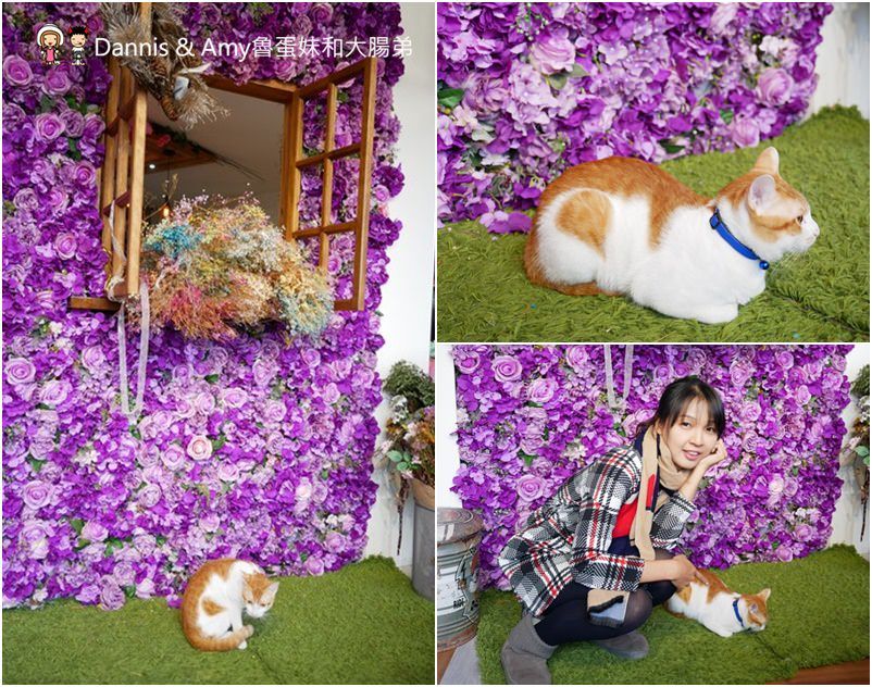 《新竹約會餐廳推薦》荷芙亭。可愛貓咪x免費韓服體驗x浪漫IG打卡絕美花牆咖啡廳 。朋友閨密網美最愛下午茶甜點,早午餐︱ 影片