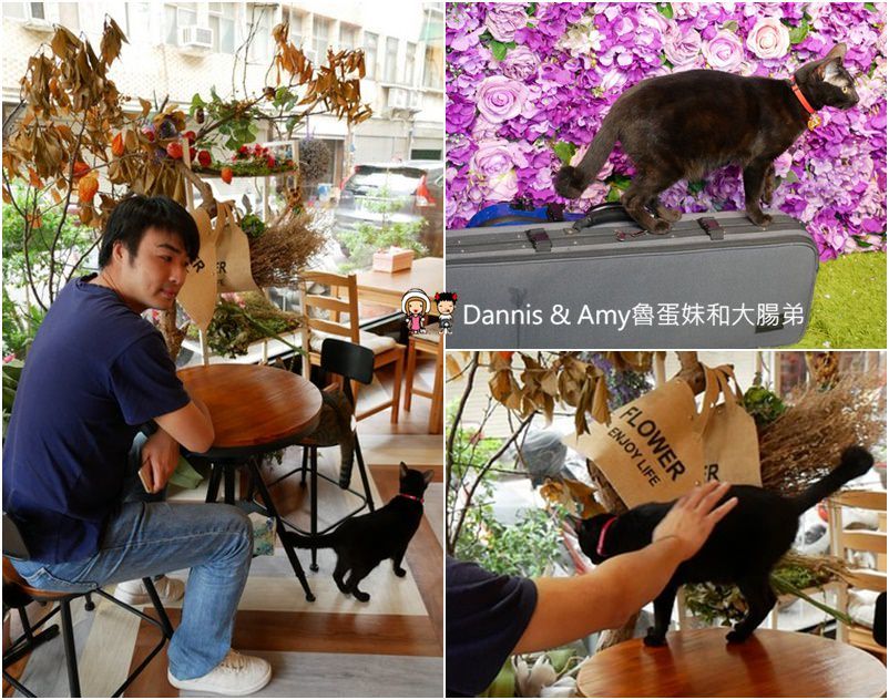 《新竹約會餐廳推薦》荷芙亭。可愛貓咪x免費韓服體驗x浪漫IG打卡絕美花牆咖啡廳 。朋友閨密網美最愛下午茶甜點,早午餐︱ 影片