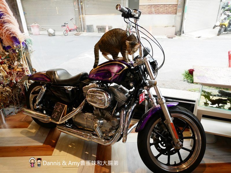 《新竹約會餐廳推薦》荷芙亭。可愛貓咪x免費韓服體驗x浪漫IG打卡絕美花牆咖啡廳 。朋友閨密網美最愛下午茶甜點,早午餐︱ 影片