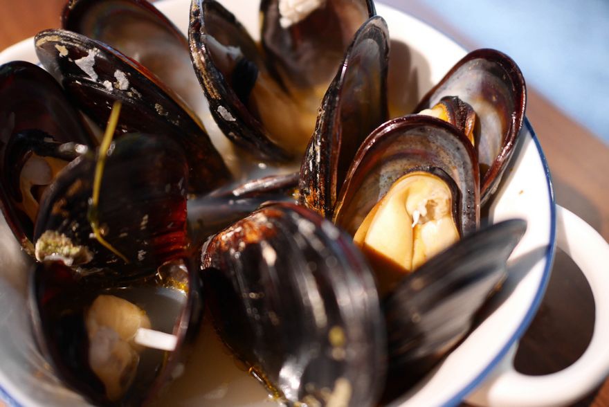 P1650708.jpg P1650708.jpg