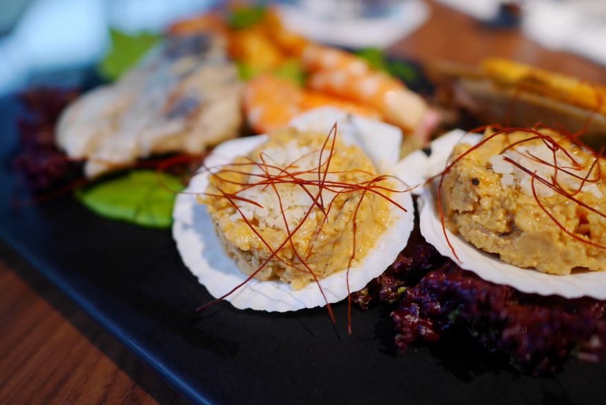 P1650529.jpg P1650529.jpg