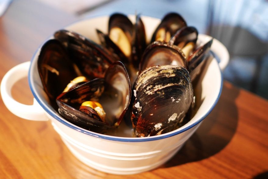 P1650691.jpg P1650691.jpg