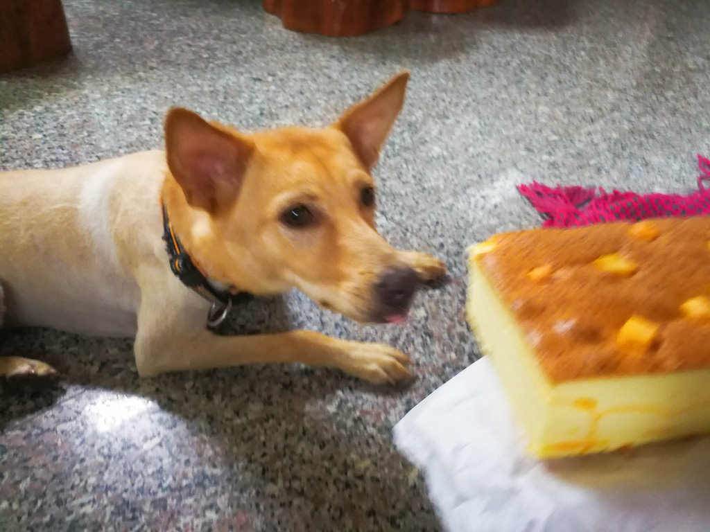 豐味珍古早味蛋糕 (34)