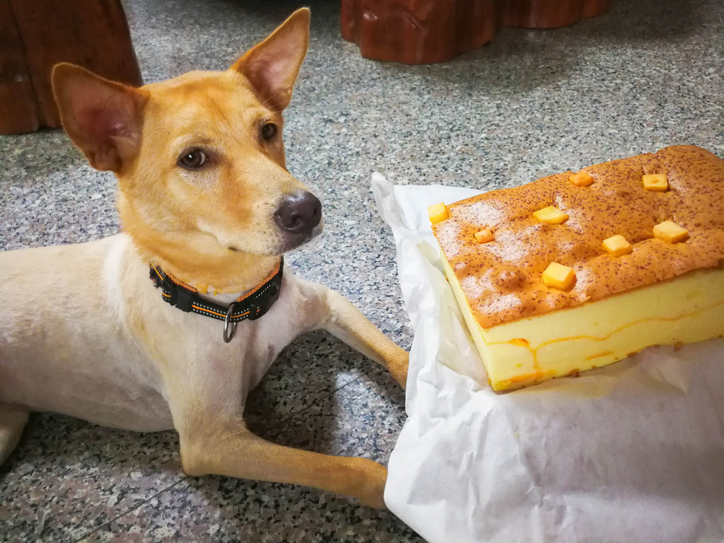 豐味珍古早味蛋糕 (33)