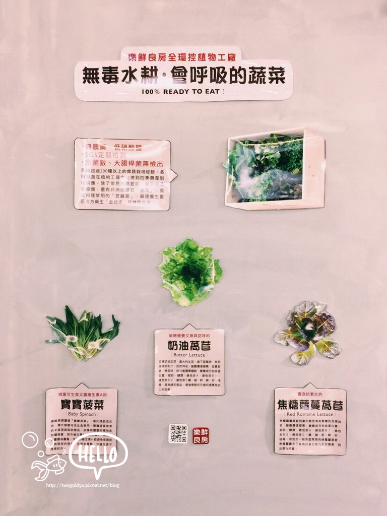 頂呱呱 修圖版_171011_0034.jpg