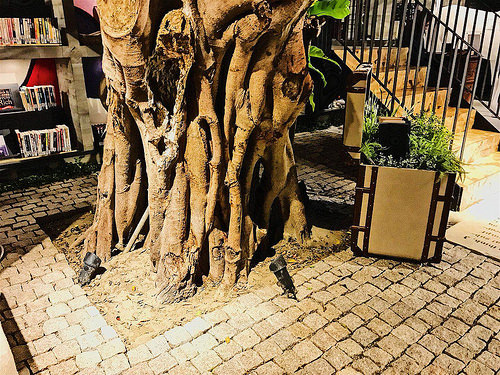 WechatIMG471514258622_.pic