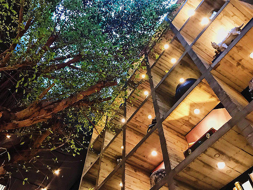 WechatIMG611514258668_.pic