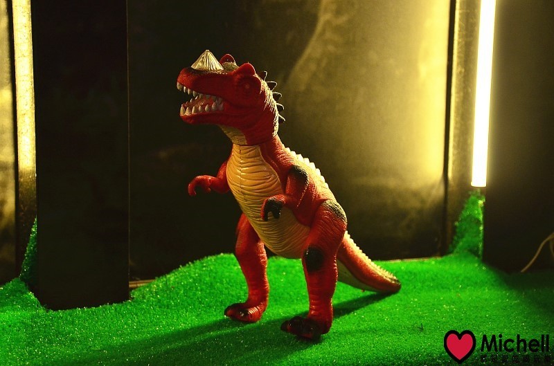 肉多多火鍋(大安信義店)