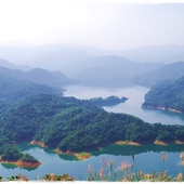 秘境石碇鱷魚島前往方法