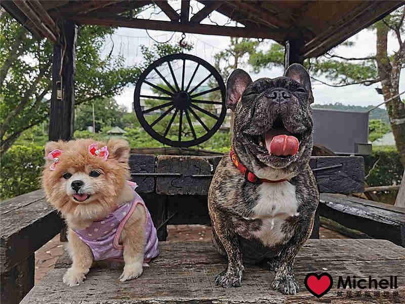 日月潭瑞居渡假飯店