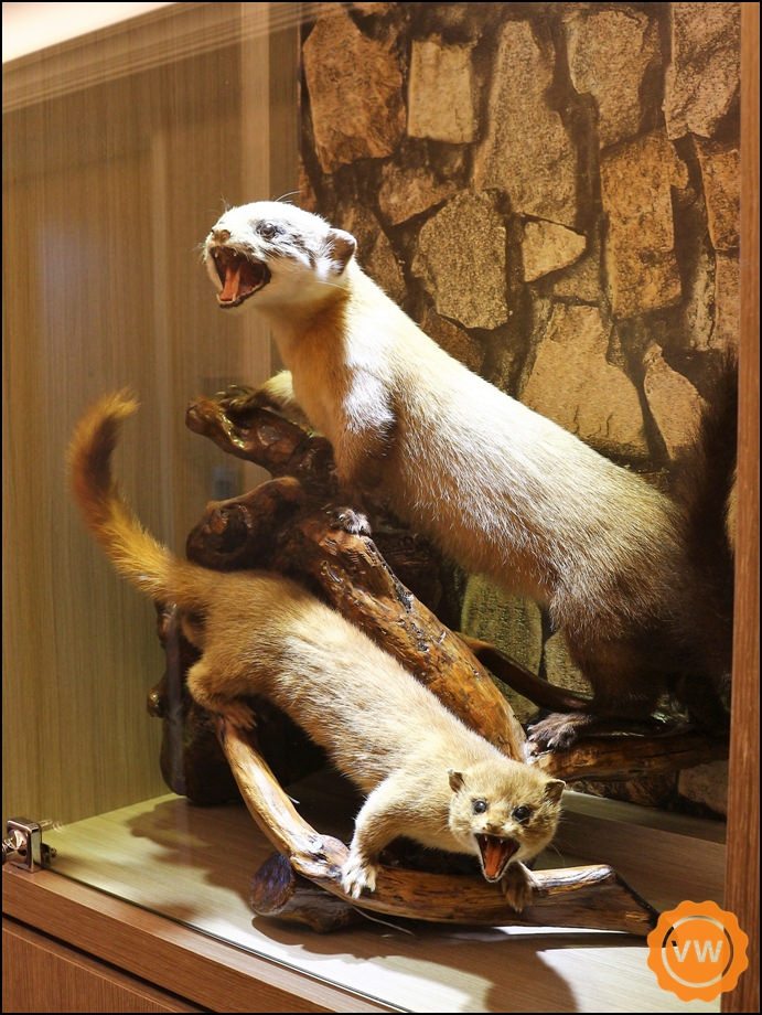 日月潭 經典大飯店-思麻丹館 日月潭 經典大飯店-思麻丹館