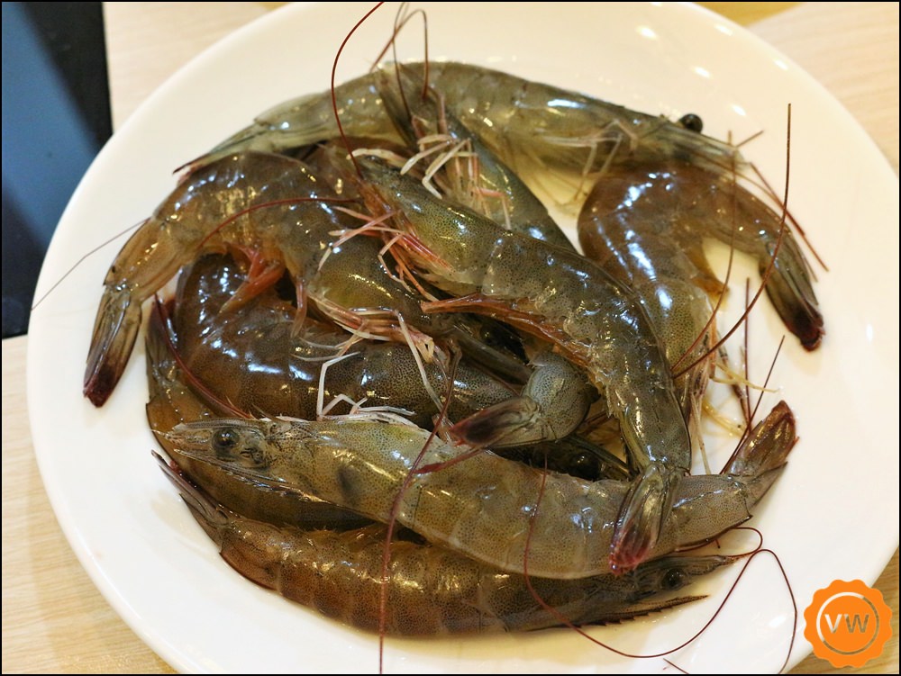 台中南屯火鍋│海撈食堂火鍋