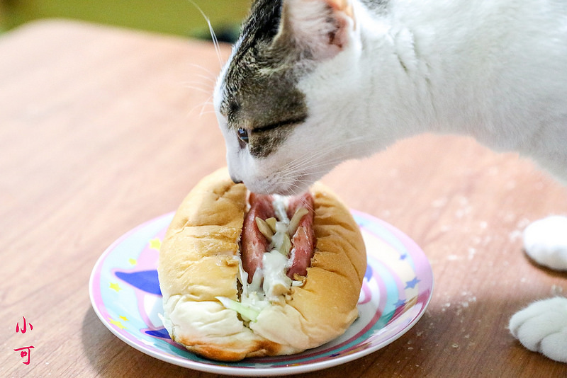  @陳小可的吃喝玩樂