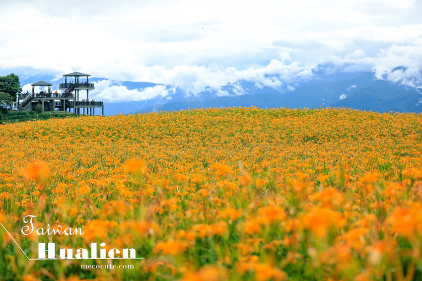  @陳小可的吃喝玩樂