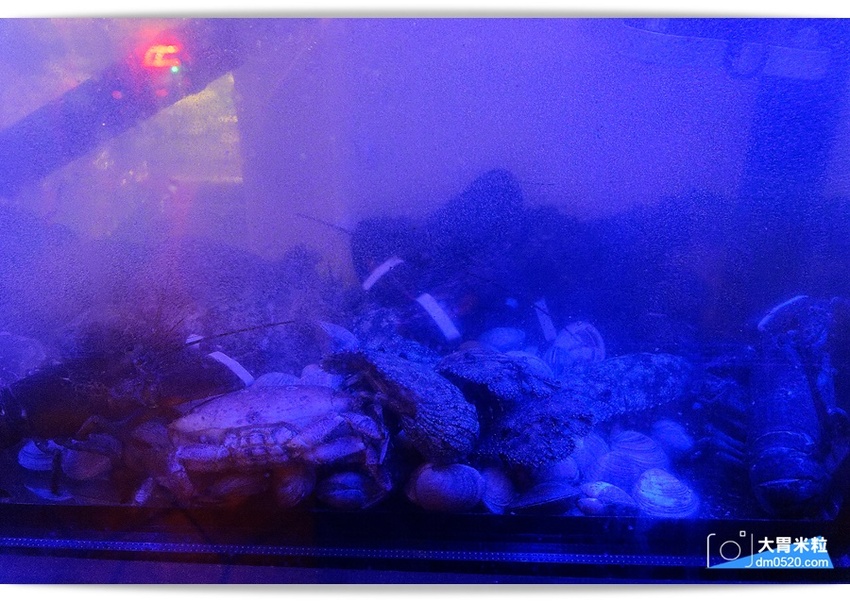 桃園中壢無菜單料理推薦,武田信玄海鮮專門,每人880元免收服務費,想吃最青A的海鮮與日式料理就來這!桃園無菜單料理推薦,中壢日式料理推薦, - 大胃米粒 DAVID & MILLY