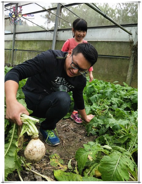 大溪區,大溪旅遊,桃園旅遊,大溪花彩節,桃園花彩節,李騰芳古宅,微笑蒔光,猛哥農園,花彩節
