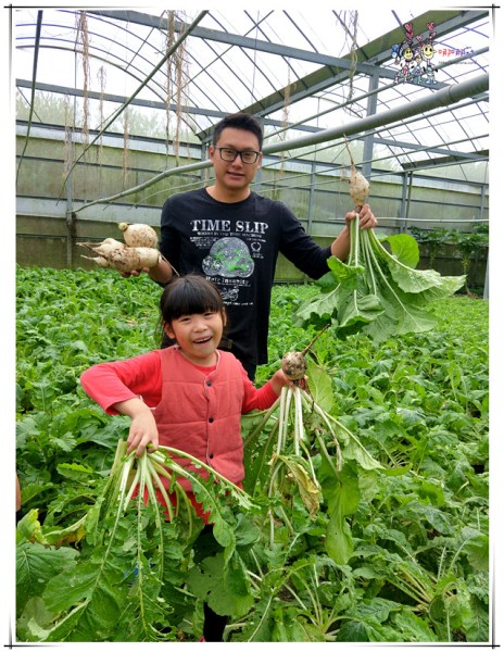 大溪區,大溪旅遊,桃園旅遊,大溪花彩節,桃園花彩節,李騰芳古宅,微笑蒔光,猛哥農園,花彩節