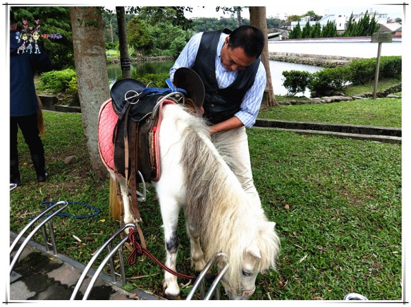 大溪區,大溪旅遊,桃園旅遊,大溪花彩節,桃園花彩節,李騰芳古宅,微笑蒔光,猛哥農園,花彩節