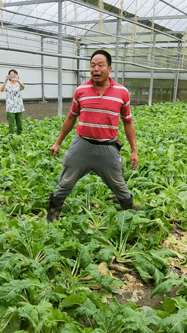 大溪區,大溪旅遊,桃園旅遊,大溪花彩節,桃園花彩節,李騰芳古宅,微笑蒔光,猛哥農園,花彩節