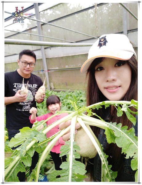 大溪區,大溪旅遊,桃園旅遊,大溪花彩節,桃園花彩節,李騰芳古宅,微笑蒔光,猛哥農園,花彩節