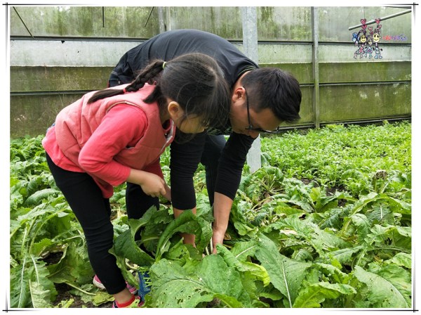 大溪區,大溪旅遊,桃園旅遊,大溪花彩節,桃園花彩節,李騰芳古宅,微笑蒔光,猛哥農園,花彩節