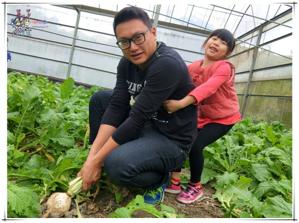 大溪區,大溪旅遊,桃園旅遊,大溪花彩節,桃園花彩節,李騰芳古宅,微笑蒔光,猛哥農園,花彩節