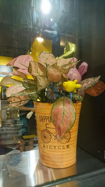 Rabbit Rabbit Tea 兔子兔子茶飲專賣店：高雄~Rabbit Rabbit Tea 兔子兔子茶飲專賣店(瑞豐南屏店)~超口愛毛怪及宇宙朵朵冰沙~還送限量兔嘴巴拍照~少女心大噴發~