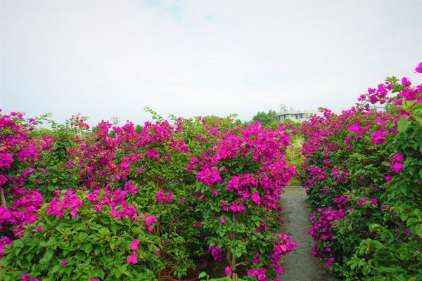 %E6%9C%AA%E5%91%BD%E5%90%8D