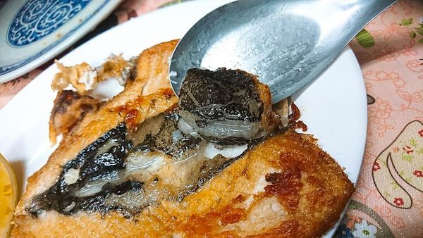 66448027_2518490848182589_3469678824583593984_n